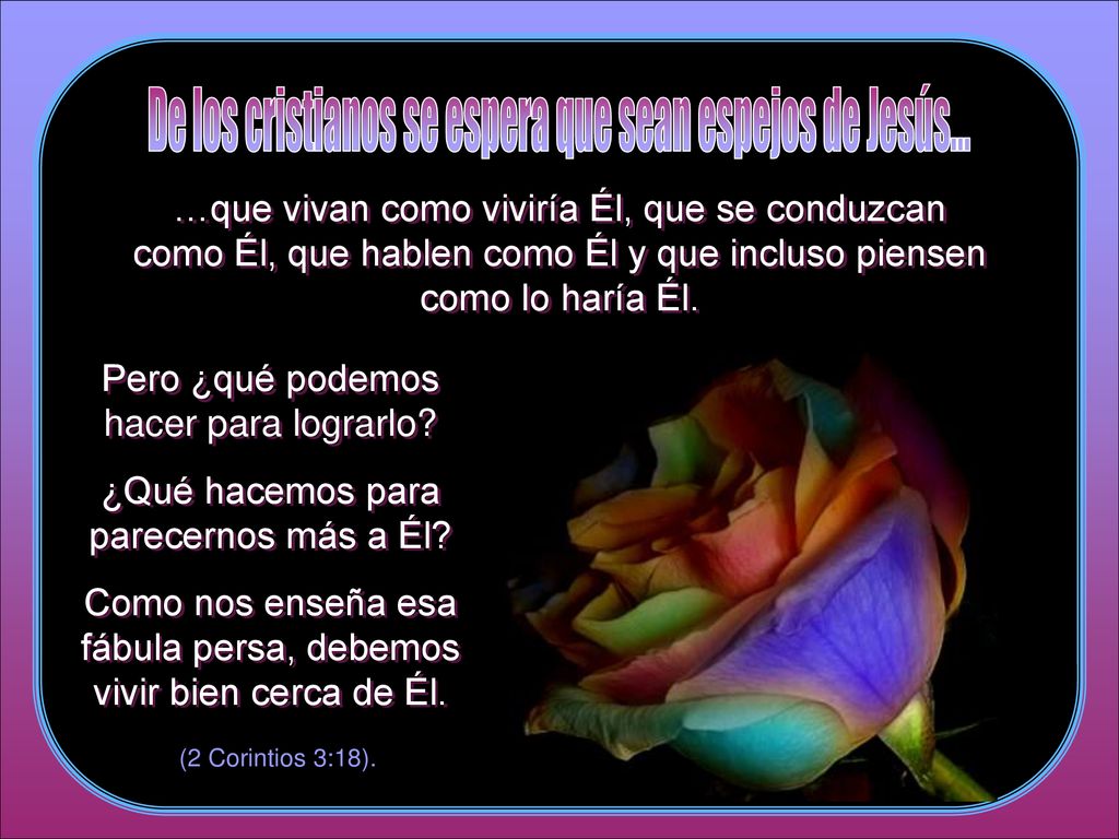 De los cristianos se espera que sean espejos de Jesús...