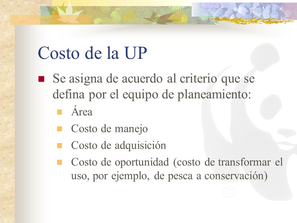 Costo de la UP Se asigna de acuerdo al criterio que se defina por el equipo de planeamiento: Área.