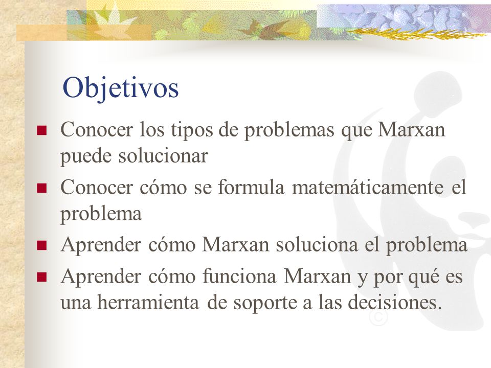 Objetivos Conocer los tipos de problemas que Marxan puede solucionar