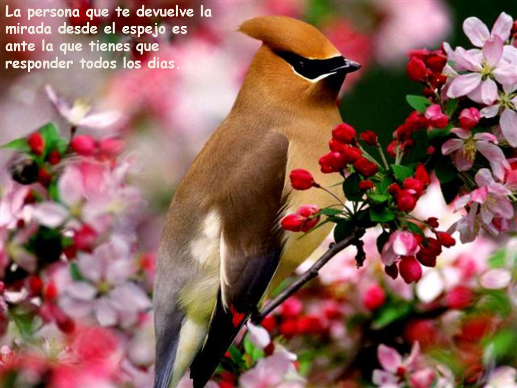 La persona que te devuelve la mirada desde el espejo es ante la que tienes que responder todos los dias.