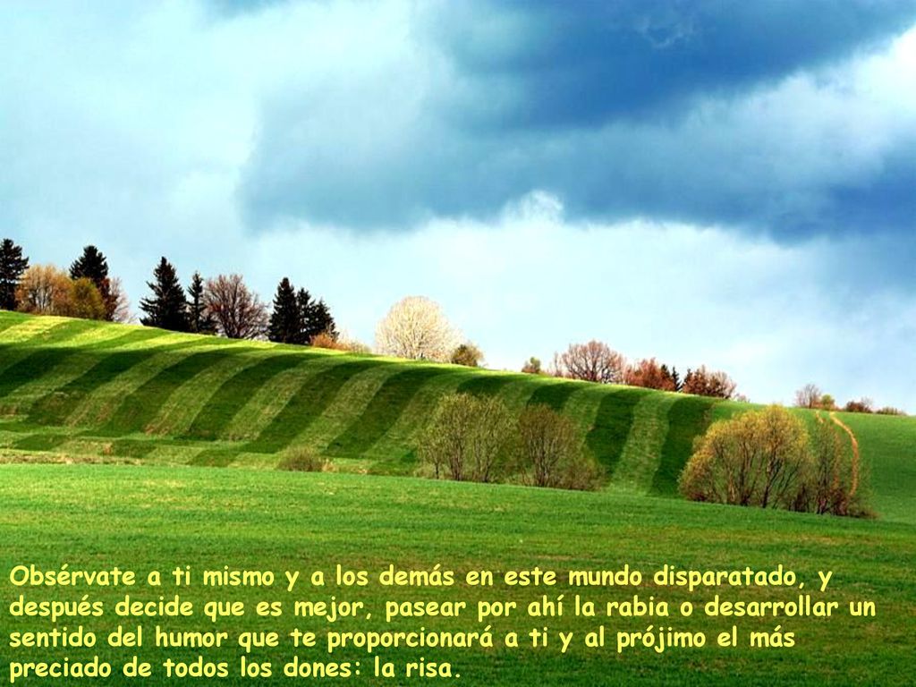 Obsérvate a ti mismo y a los demás en este mundo disparatado, y después decide que es mejor, pasear por ahí la rabia o desarrollar un sentido del humor que te proporcionará a ti y al prójimo el más preciado de todos los dones: la risa.