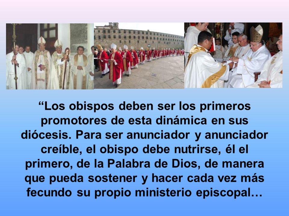 Los obispos deben ser los primeros promotores de esta dinámica en sus diócesis.