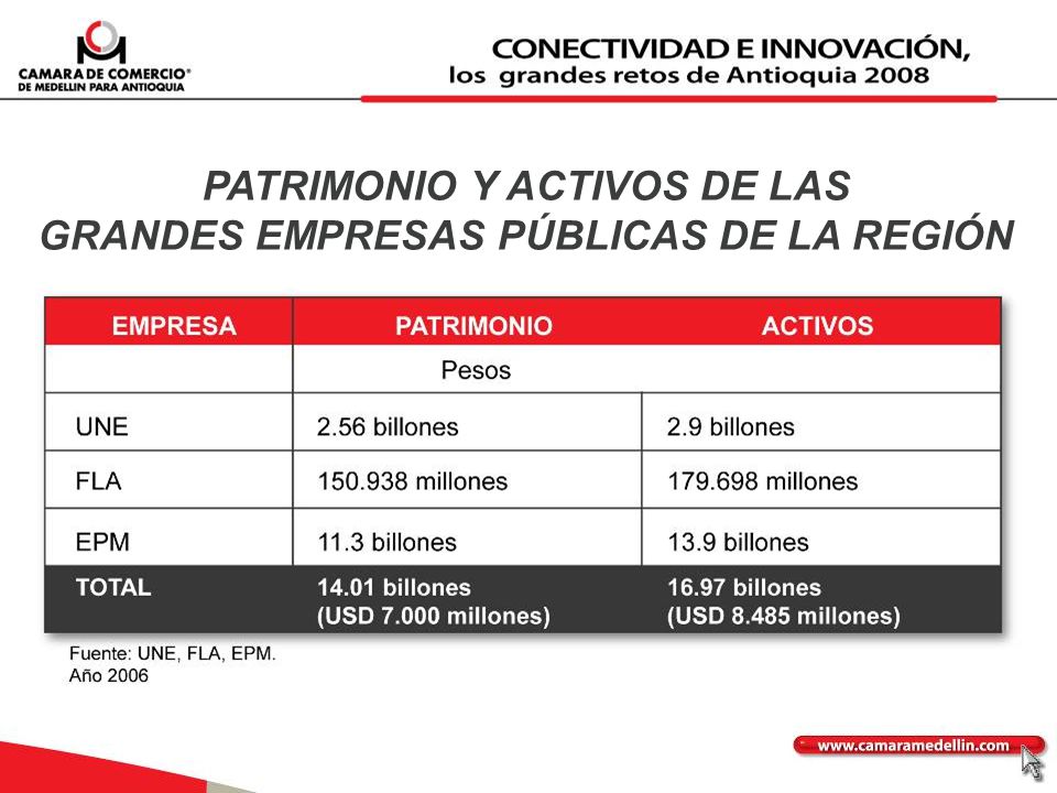 PATRIMONIO Y ACTIVOS DE LAS GRANDES EMPRESAS PÚBLICAS DE LA REGIÓN