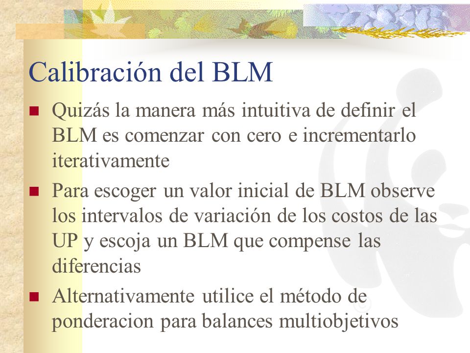 Calibración del BLM Quizás la manera más intuitiva de definir el BLM es comenzar con cero e incrementarlo iterativamente.
