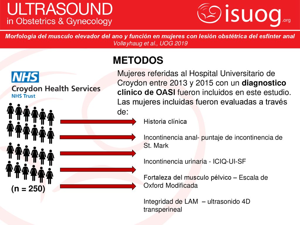 Morfología del musculo elevador del ano y función en mujeres con lesión obstétrica del esfínter anal