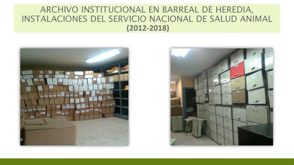 Archivo Institucional en Barreal de Heredia, Instalaciones del Servicio Nacional de Salud Animal ( )