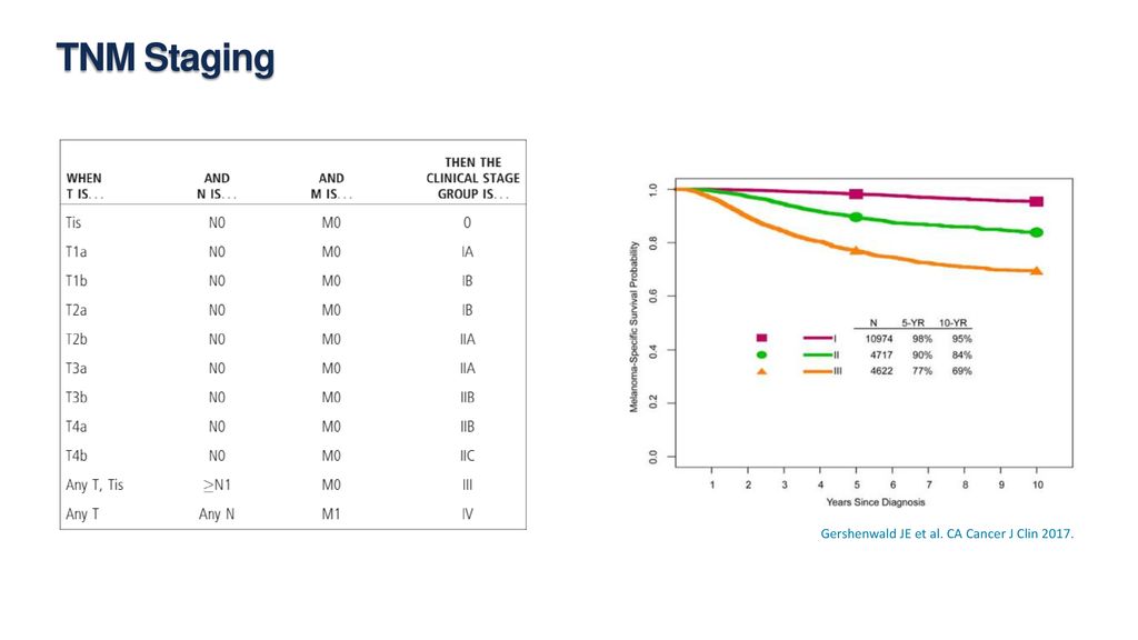 TNM Staging Gershenwald JE et al. CA Cancer J Clin 2017.