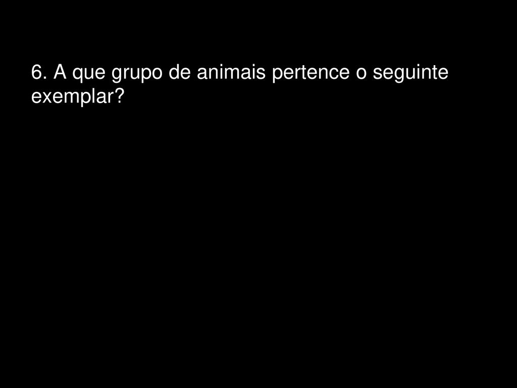 6. A que grupo de animais pertence o seguinte exemplar