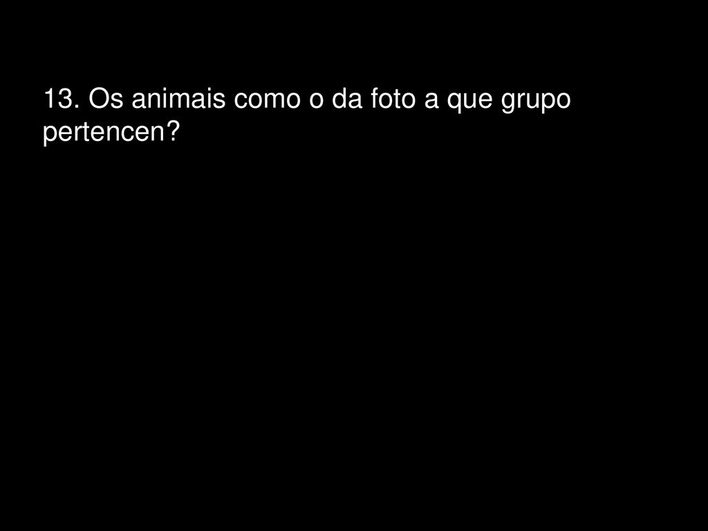 13. Os animais como o da foto a que grupo pertencen