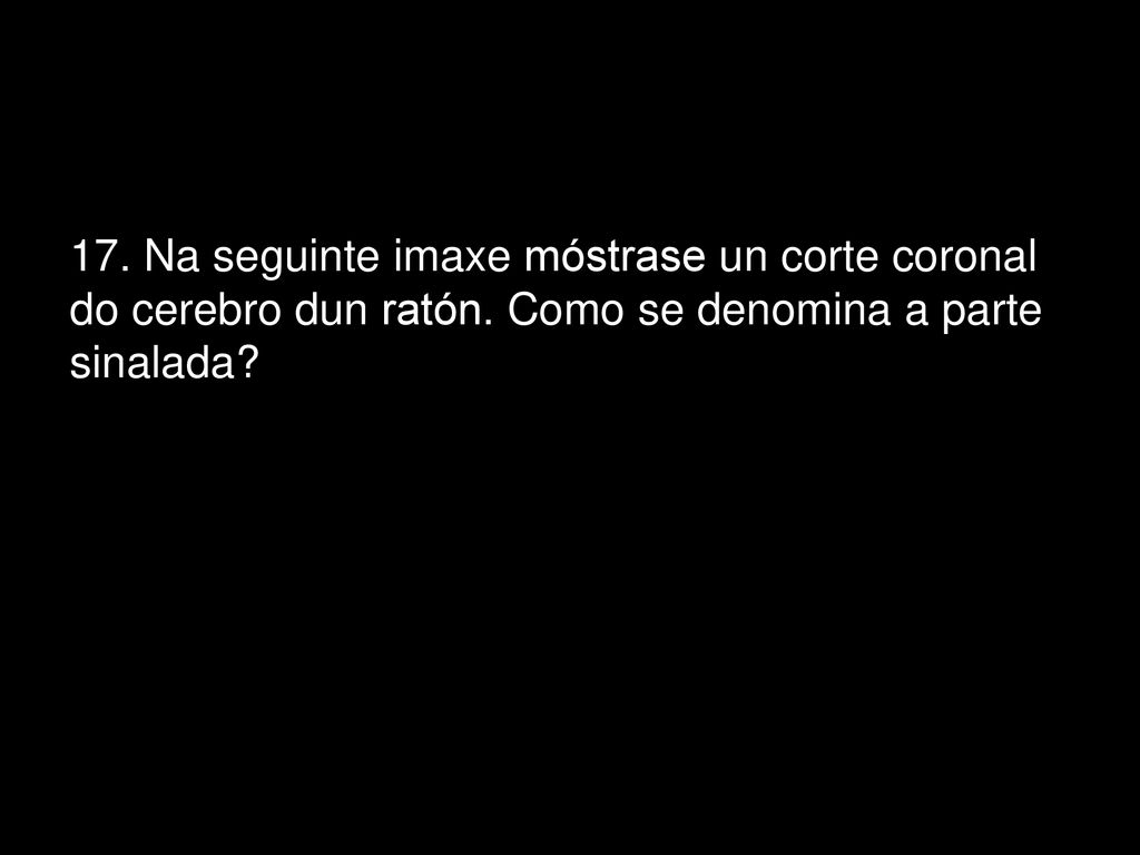 17. Na seguinte imaxe móstrase un corte coronal do cerebro dun ratón