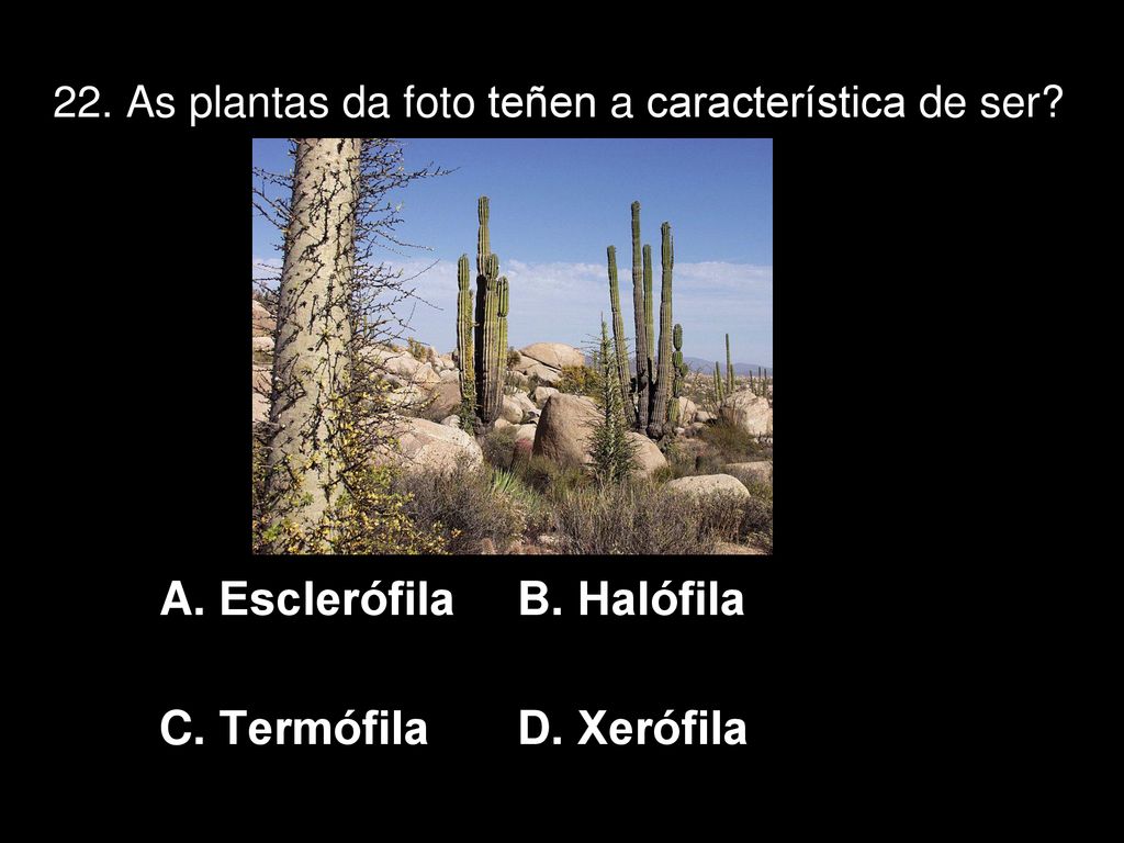 22. As plantas da foto teñen a característica de ser