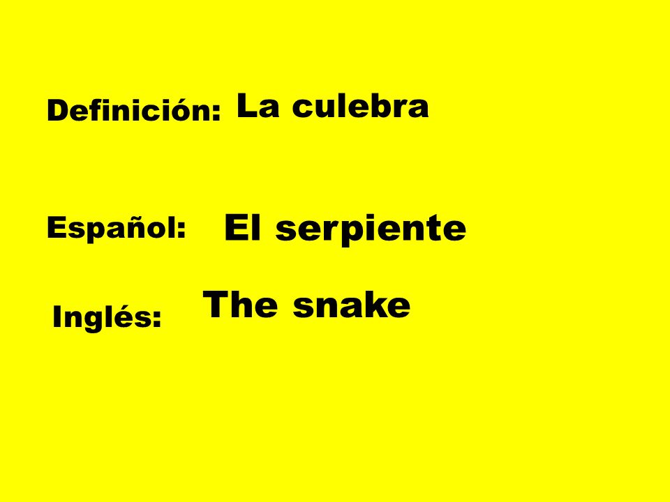 La culebra Definición: El serpiente Español: The snake Inglés: