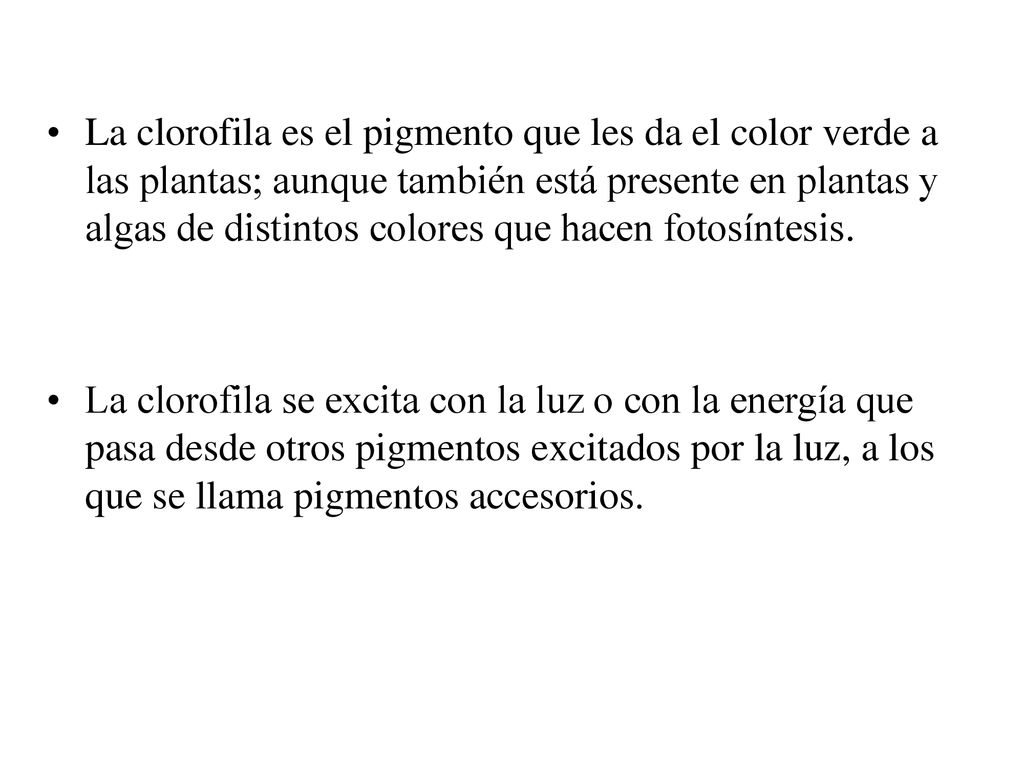 La clorofila es el pigmento que les da el color verde a las plantas; aunque también está presente en plantas y algas de distintos colores que hacen fotosíntesis.