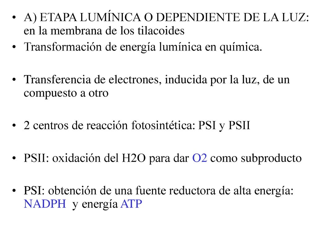 A) ETAPA LUMÍNICA O DEPENDIENTE DE LA LUZ: en la membrana de los tilacoides