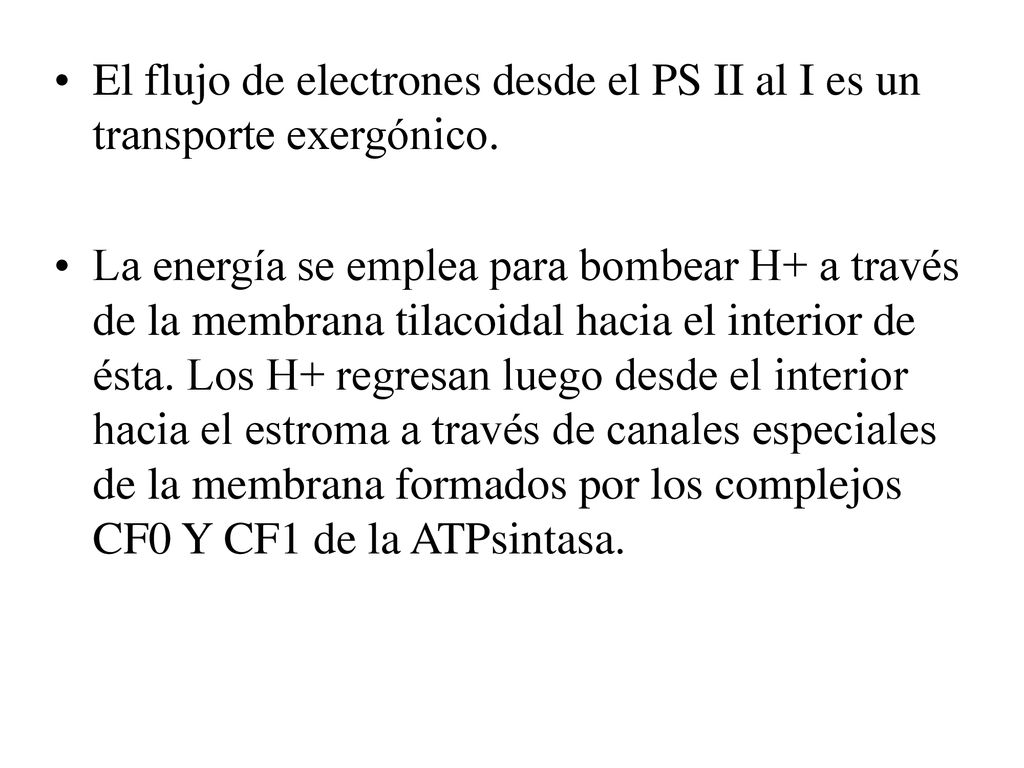 El flujo de electrones desde el PS II al I es un transporte exergónico.