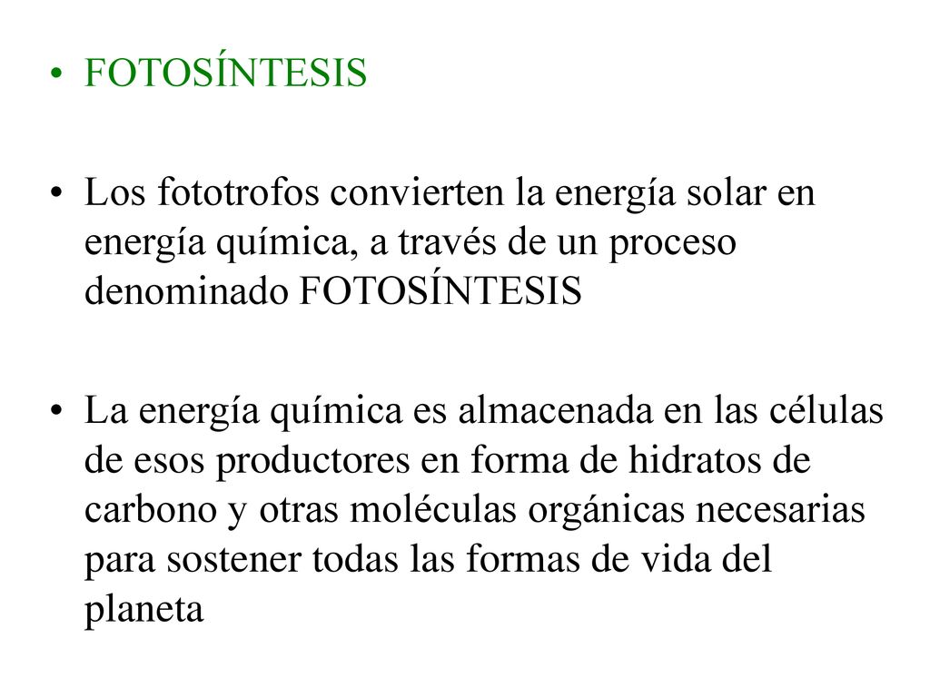 FOTOSÍNTESIS Los fototrofos convierten la energía solar en energía química, a través de un proceso denominado FOTOSÍNTESIS.