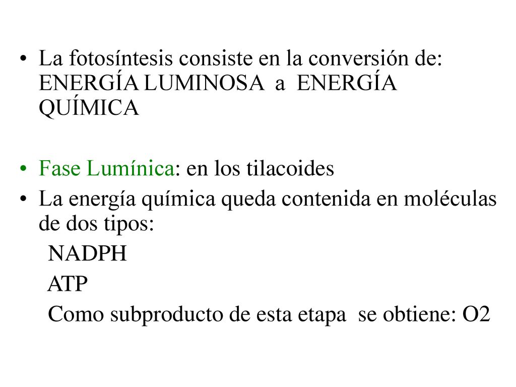 La fotosíntesis consiste en la conversión de: ENERGÍA LUMINOSA a ENERGÍA QUÍMICA