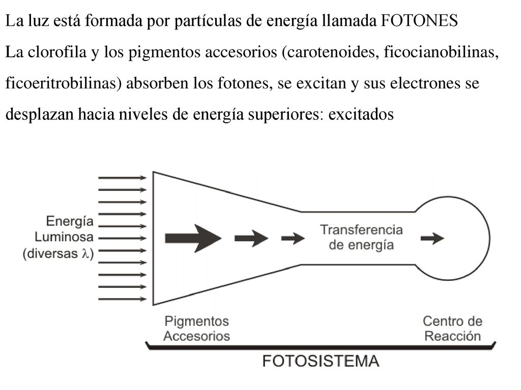 La luz está formada por partículas de energía llamada FOTONES