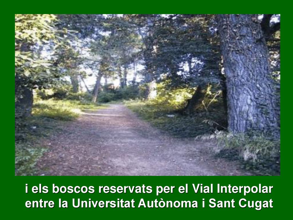 i els boscos reservats per el Vial Interpolar entre la Universitat Autònoma i Sant Cugat