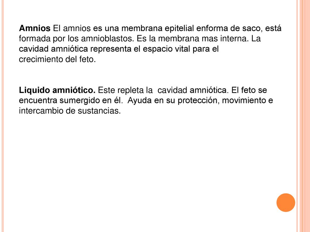 Amnios El amnios es una membrana epitelial enforma de saco, está formada por los amnioblastos. Es la membrana mas interna. La cavidad amniótica representa el espacio vital para el crecimiento del feto.