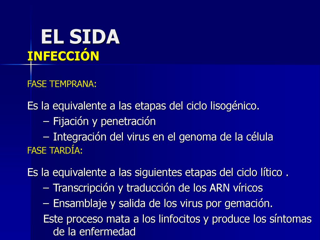 EL SIDA INFECCIÓN Es la equivalente a las etapas del ciclo lisogénico.