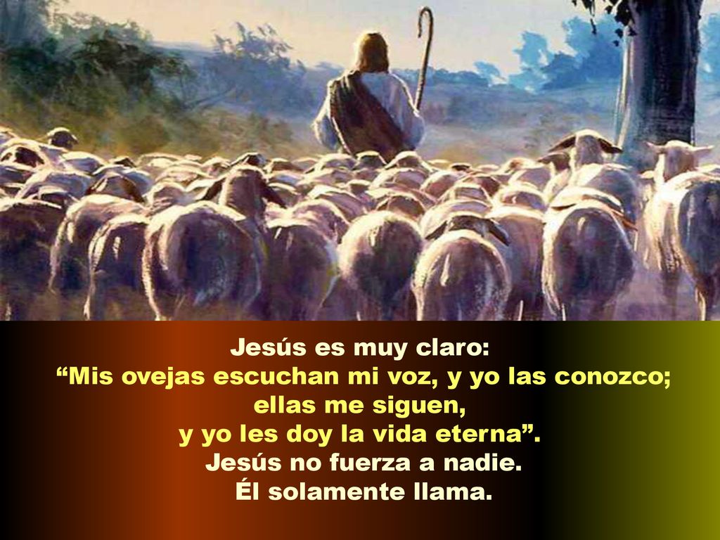 Mis ovejas escuchan mi voz, y yo las conozco; ellas me siguen,