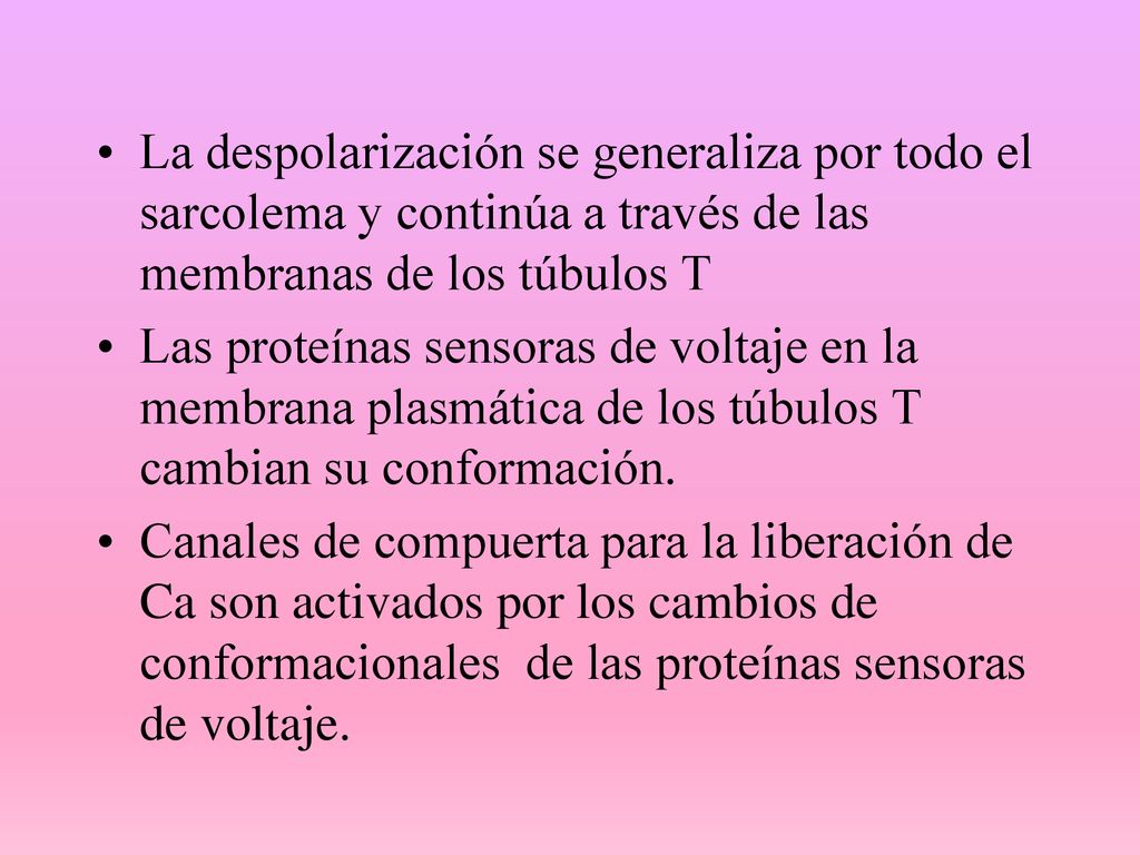 La despolarización se generaliza por todo el sarcolema y continúa a través de las membranas de los túbulos T