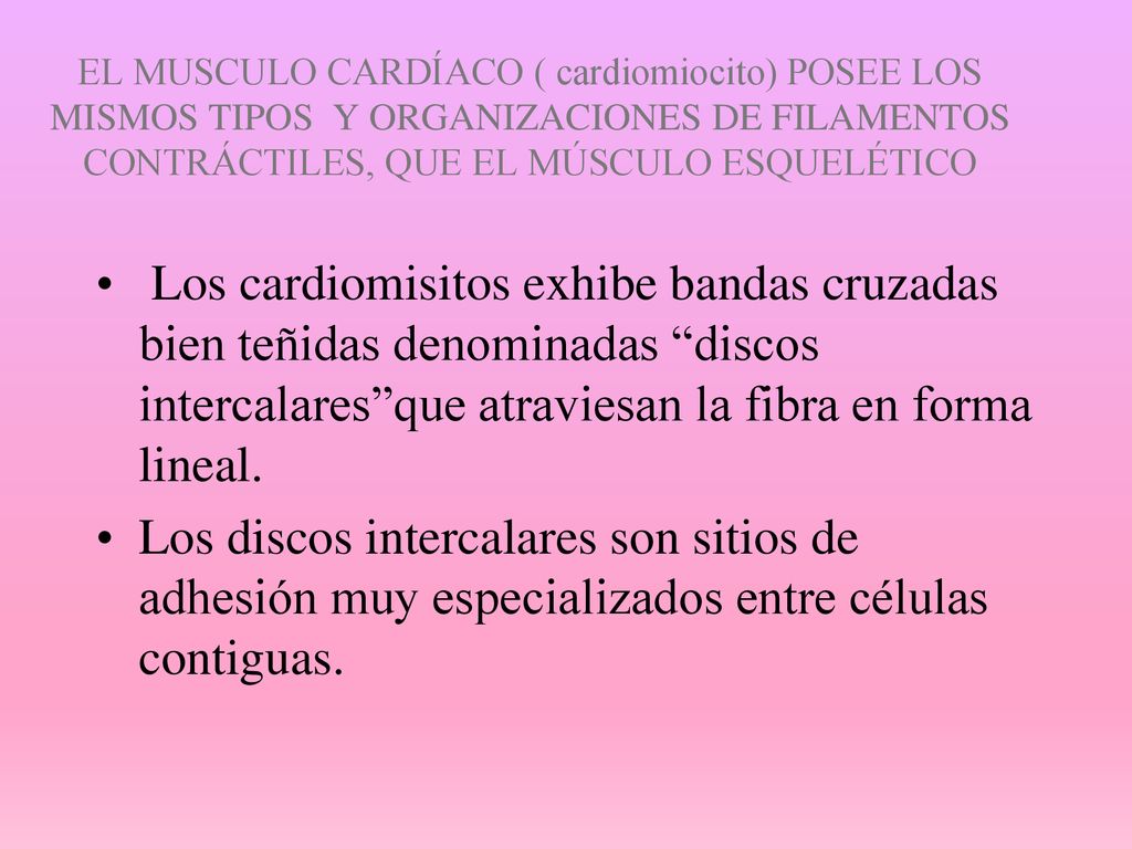 EL MUSCULO CARDÍACO ( cardiomiocito) POSEE LOS MISMOS TIPOS Y ORGANIZACIONES DE FILAMENTOS CONTRÁCTILES, QUE EL MÚSCULO ESQUELÉTICO
