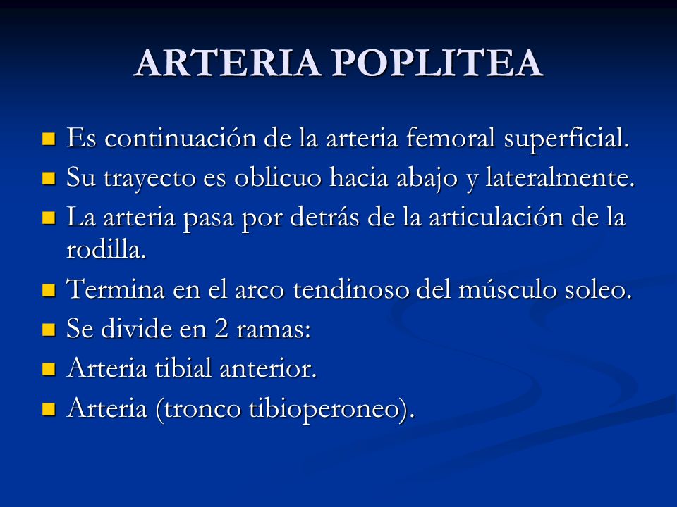 ARTERIA POPLITEA Es continuación de la arteria femoral superficial.