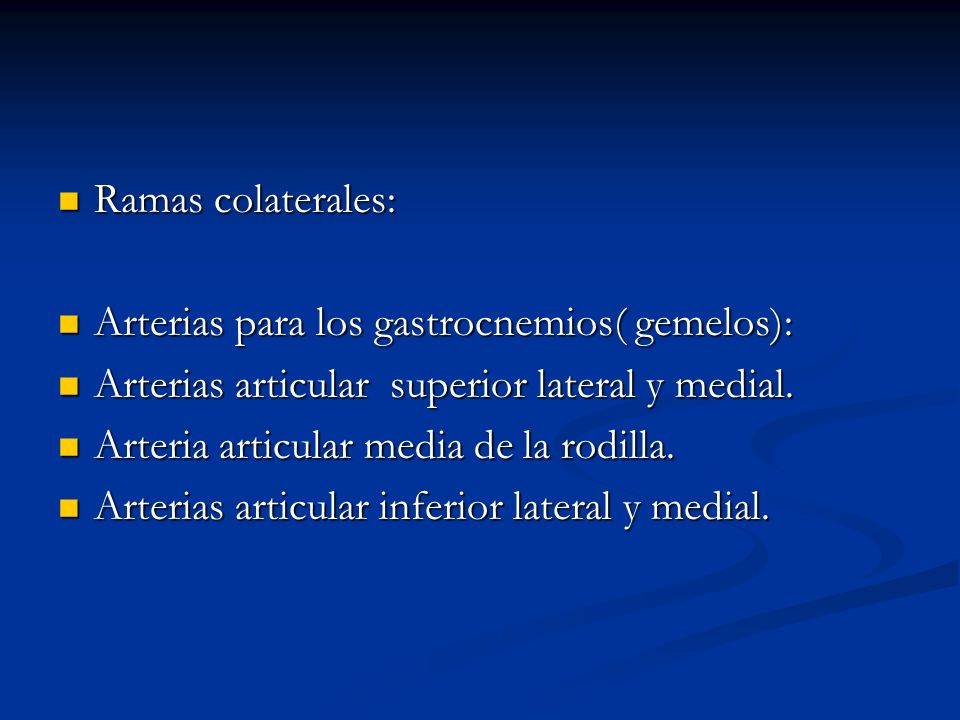 Ramas colaterales: Arterias para los gastrocnemios( gemelos): Arterias articular superior lateral y medial.
