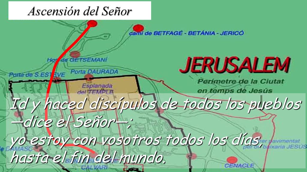 Id y haced discípulos de todos los pueblos —dice el Señor—;