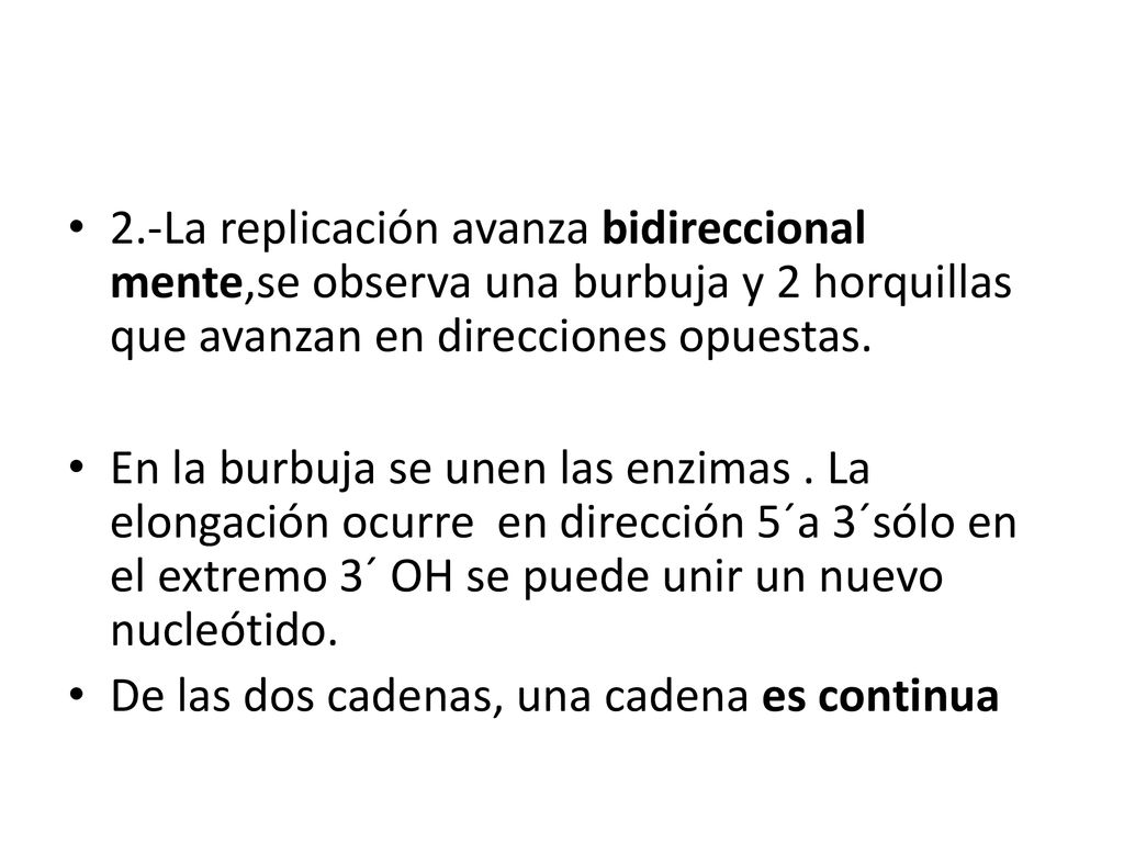 2.-La replicación avanza bidireccional mente,se observa una burbuja y 2 horquillas que avanzan en direcciones opuestas.