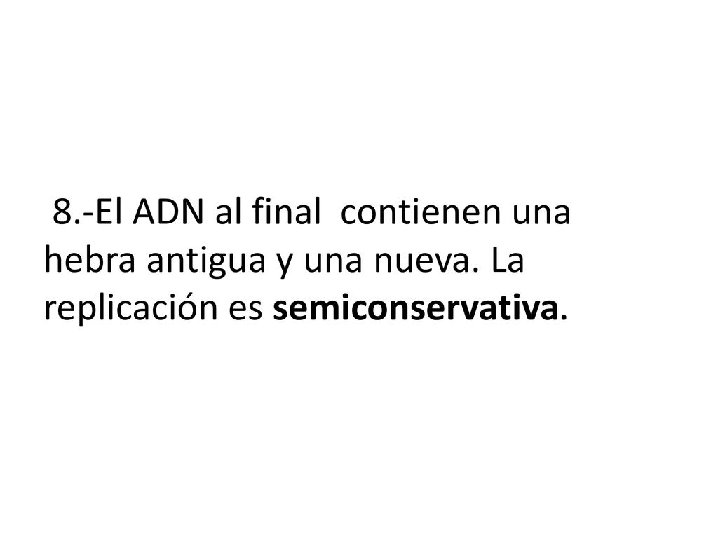 8. -El ADN al final contienen una hebra antigua y una nueva