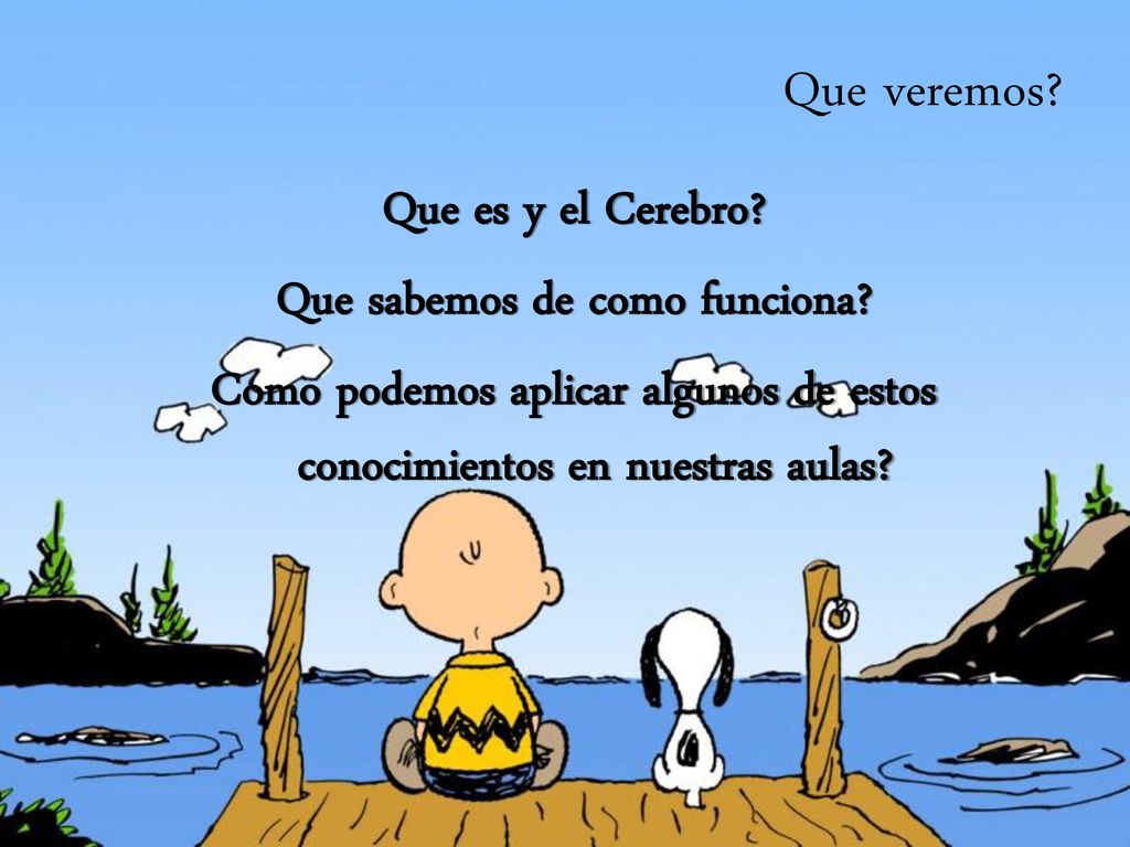 Que veremos. Que es y el Cerebro. Que sabemos de como funciona.