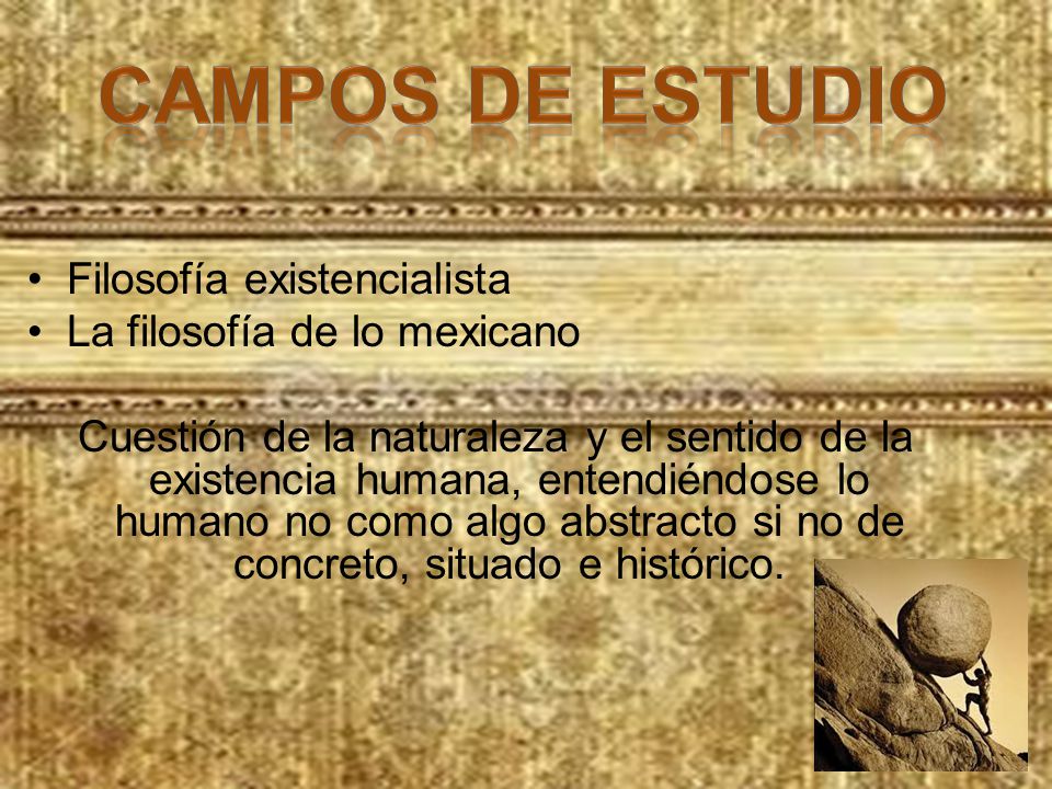 Campos de estudio Filosofía existencialista