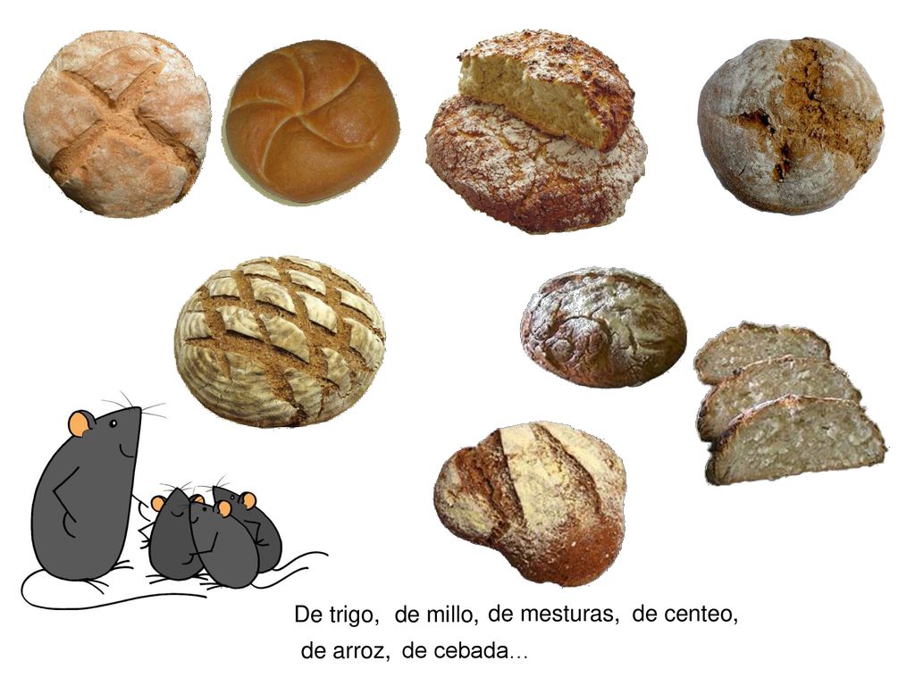 De trigo, de millo, de mesturas, de centeo, de arroz, de cebada…
