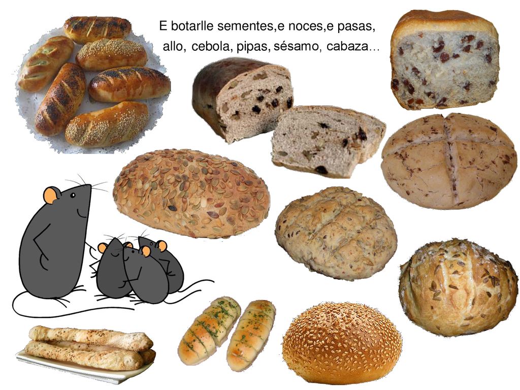 E botarlle sementes, e noces, e pasas, allo, cebola, pipas, sésamo, cabaza…