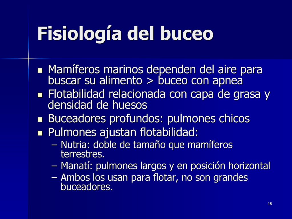 Fisiología del buceo Mamíferos marinos dependen del aire para buscar su alimento > buceo con apnea.