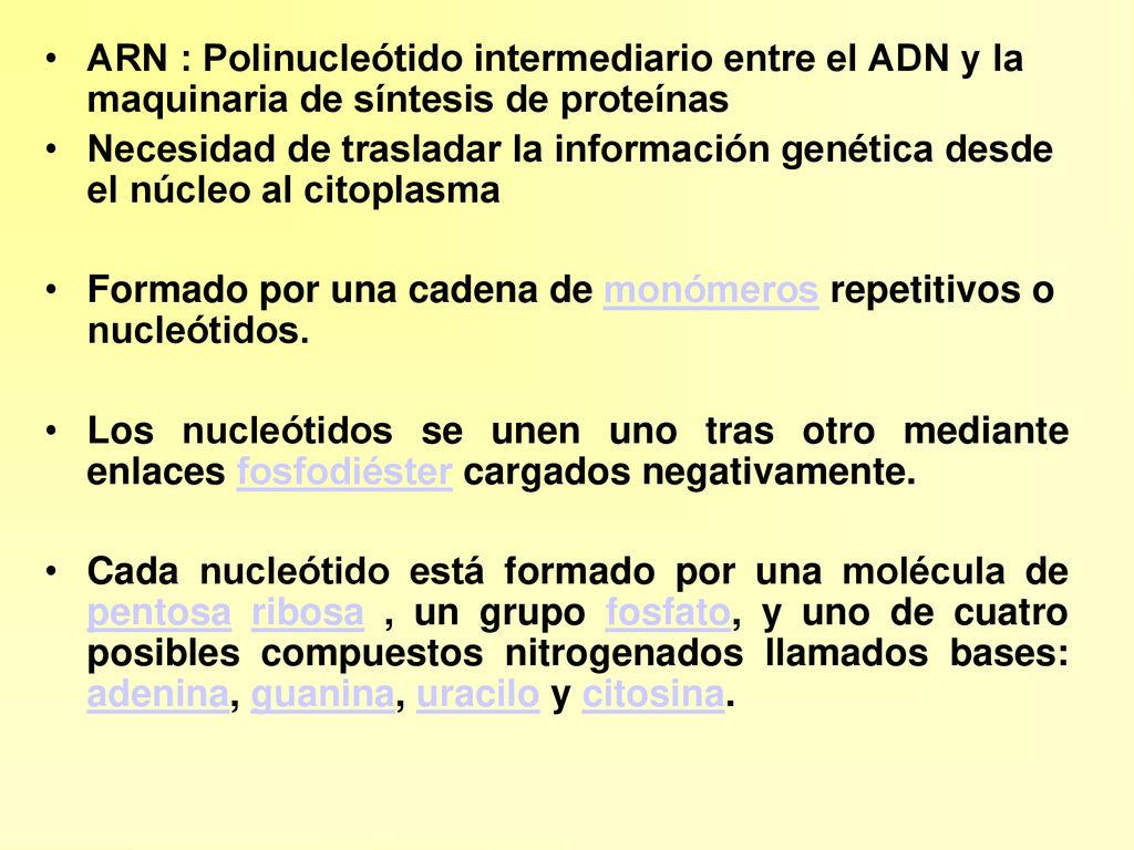 ARN : Polinucleótido intermediario entre el ADN y la maquinaria de síntesis de proteínas