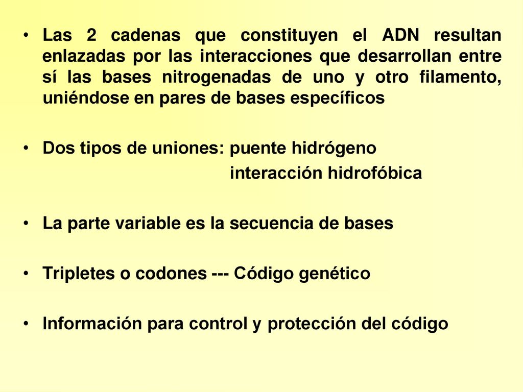 Las 2 cadenas que constituyen el ADN resultan enlazadas por las interacciones que desarrollan entre sí las bases nitrogenadas de uno y otro filamento, uniéndose en pares de bases específicos