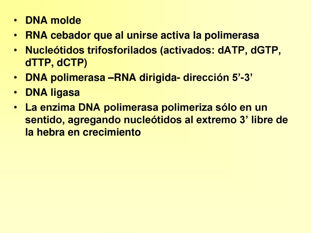 DNA molde RNA cebador que al unirse activa la polimerasa. Nucleótidos trifosforilados (activados: dATP, dGTP, dTTP, dCTP)