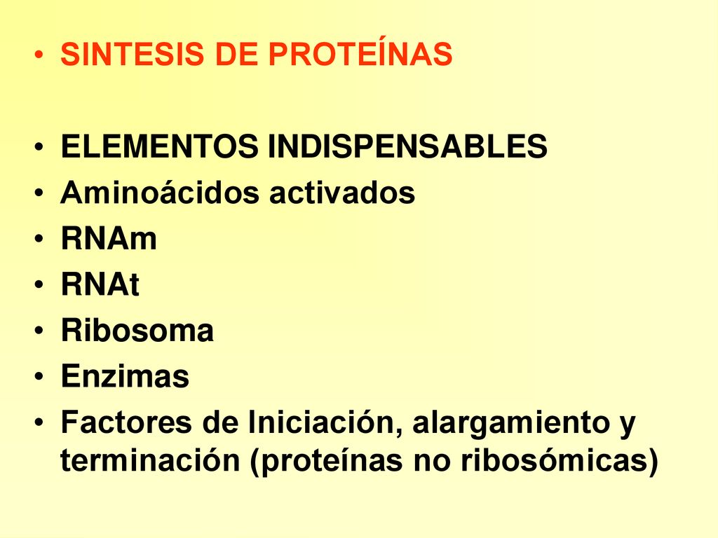 SINTESIS DE PROTEÍNAS ELEMENTOS INDISPENSABLES. Aminoácidos activados. RNAm. RNAt. Ribosoma. Enzimas.