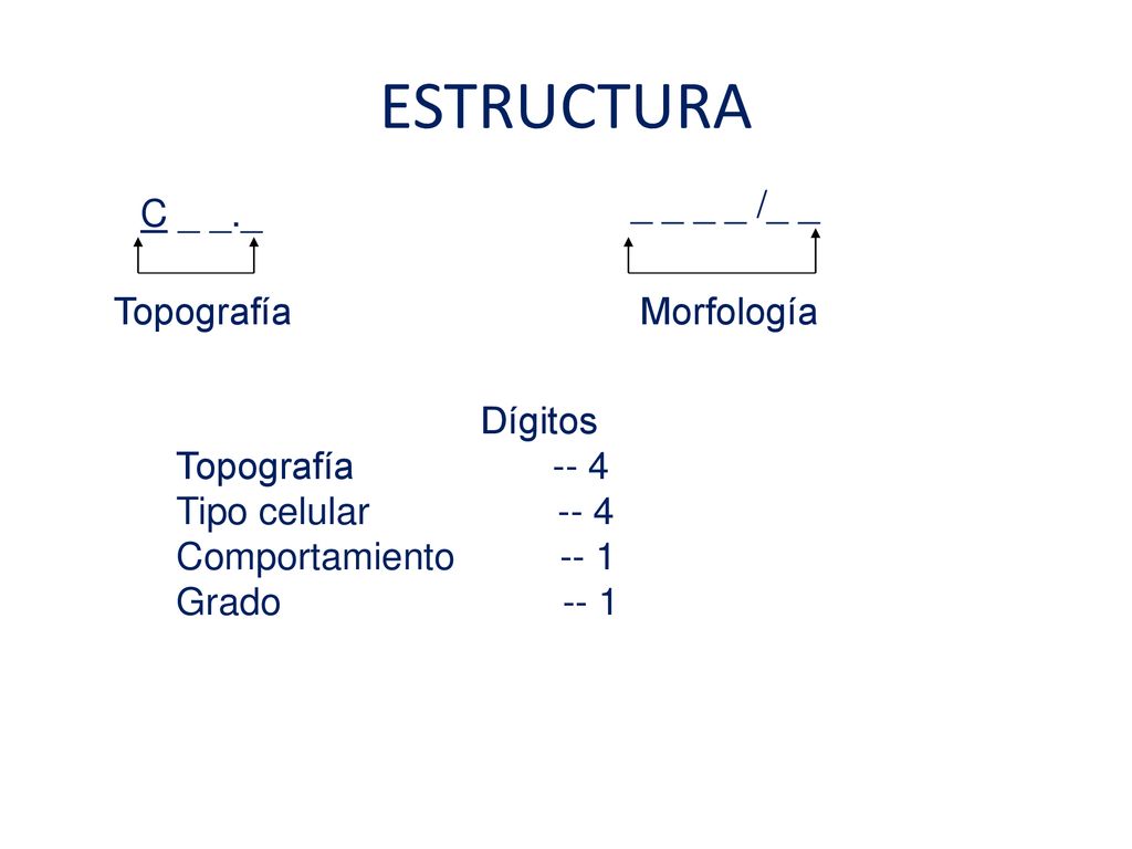 ESTRUCTURA _ _ _ _ /_ _ C _ _._ Topografía Morfología Dígitos