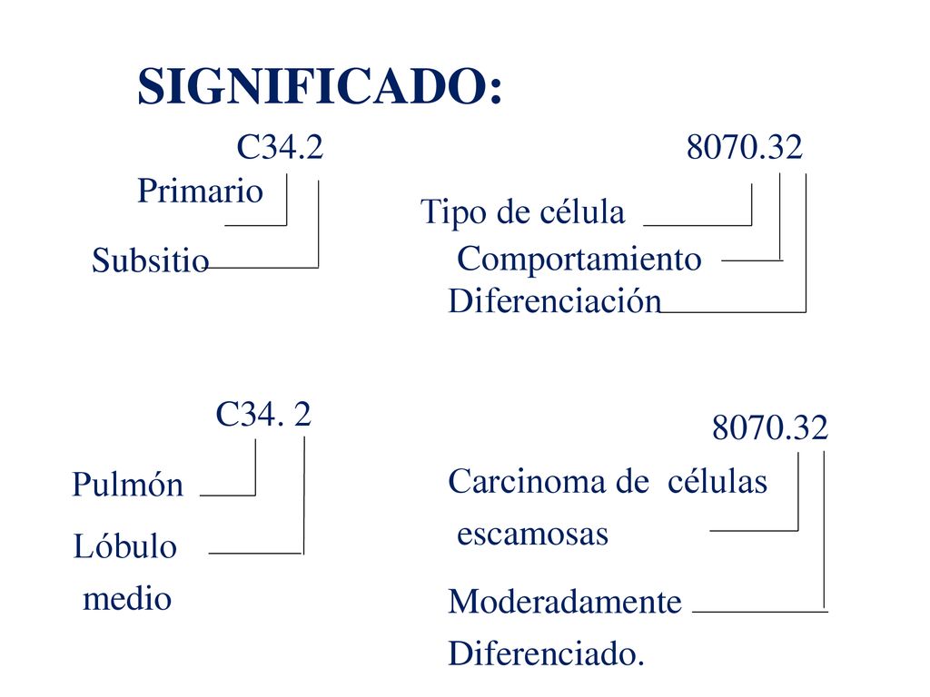 SIGNIFICADO: C Primario Tipo de célula Subsitio