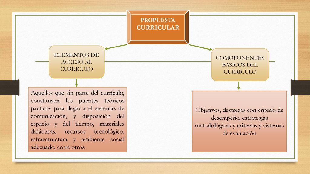 PROPUESTA CURRICULAR ELEMENTOS DE ACCESO AL CURRICULO. COMOPONENTES BASICOS DEL CURRICULO.