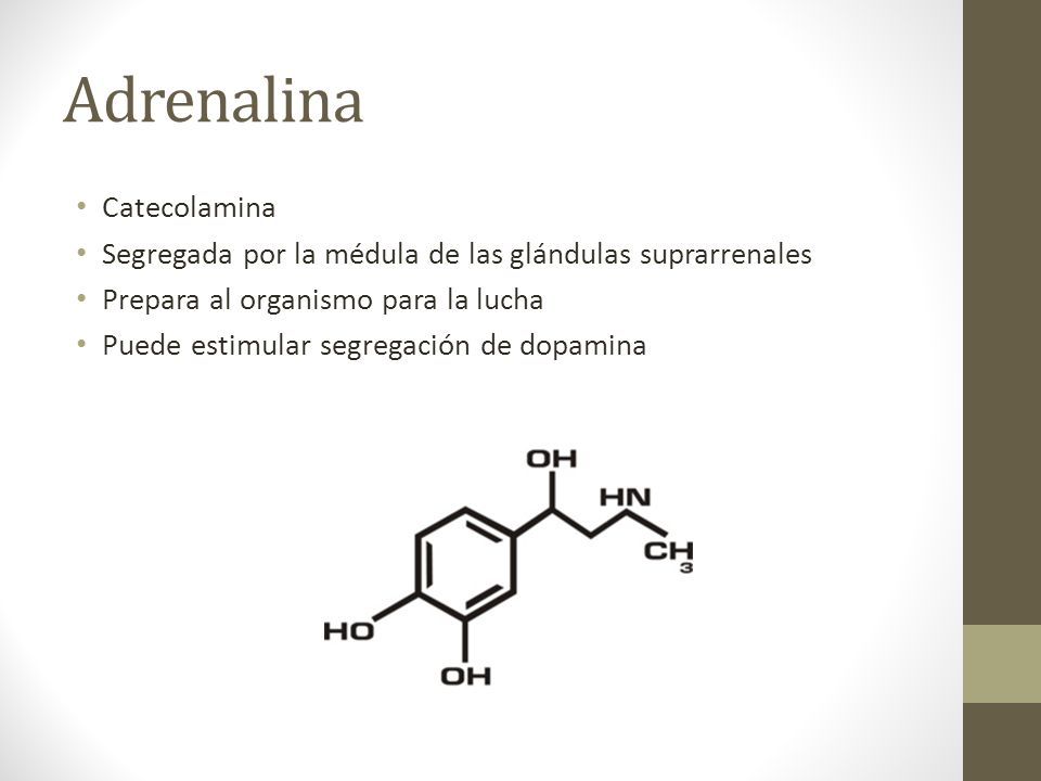Adrenalina Catecolamina