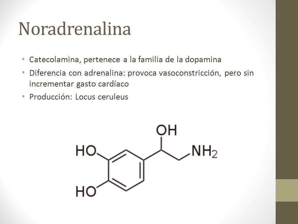 Noradrenalina Catecolamina, pertenece a la familia de la dopamina