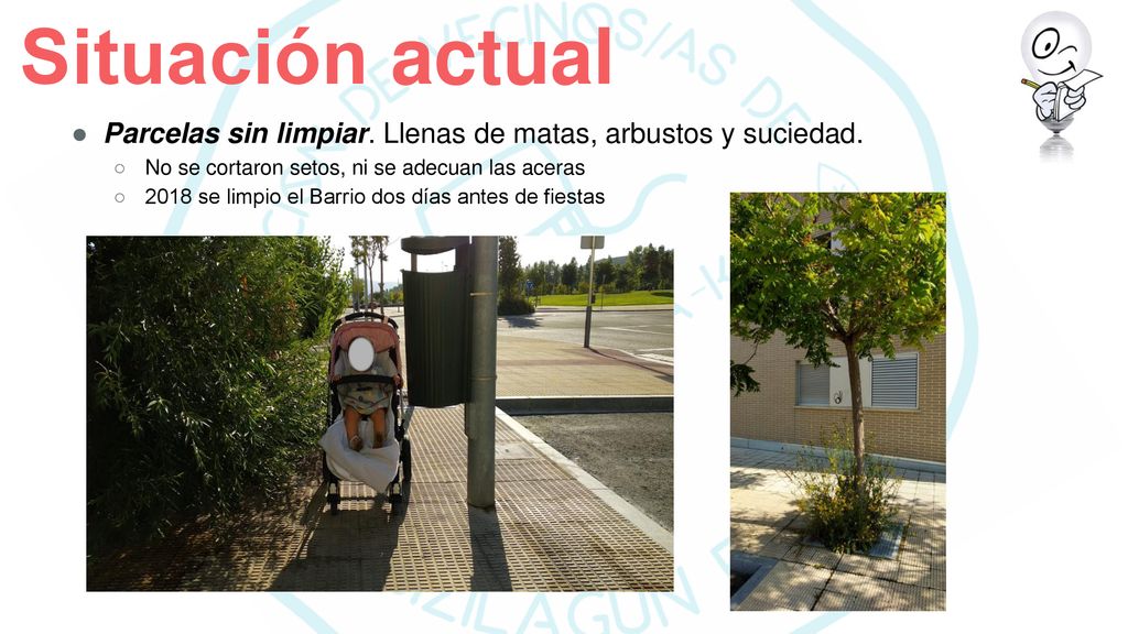 Situación actual Parcelas sin limpiar. Llenas de matas, arbustos y suciedad. No se cortaron setos, ni se adecuan las aceras.