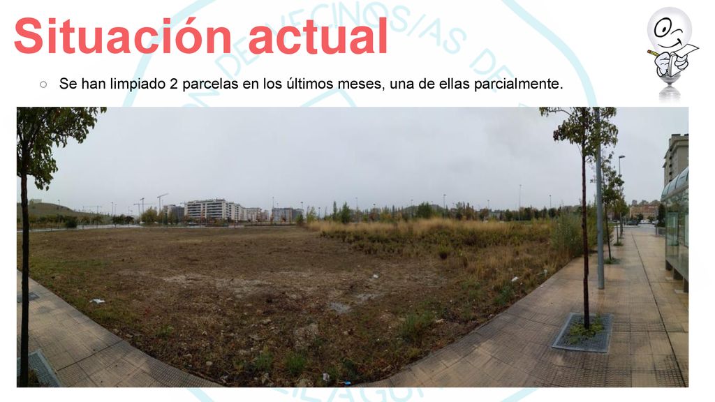 Situación actual Se han limpiado 2 parcelas en los últimos meses, una de ellas parcialmente.