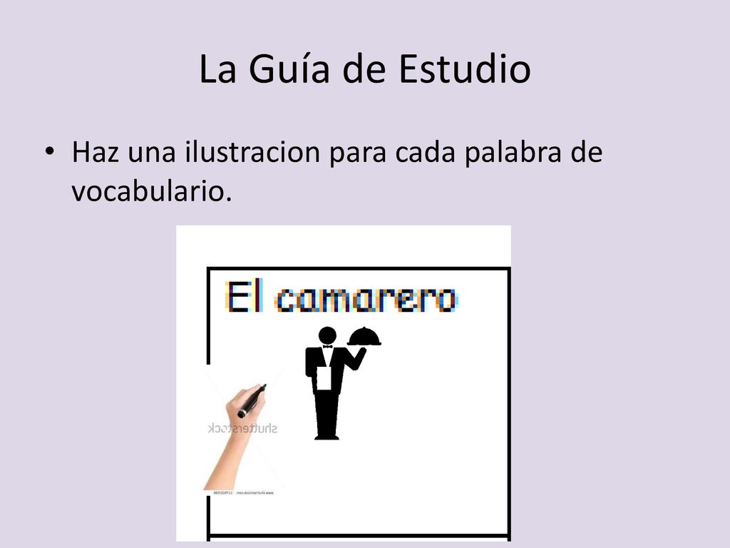 La Guía de Estudio Haz una ilustracion para cada palabra de vocabulario.